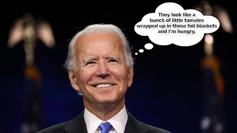 Biden Admin Told Republican Senators to Delete Pictures of Creepy Joe’s Kids in Cages at the Border