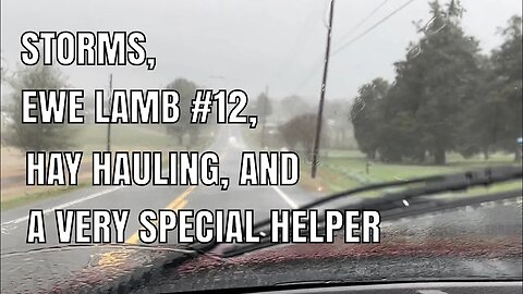 Storms, Ewe Lamb No. 12, Hay Hauling, and a VERY Special Helper