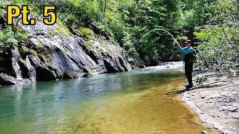 This Creek Was LOADED! (100 Fish in a DAY) || North Georgia Trout Pt. 5