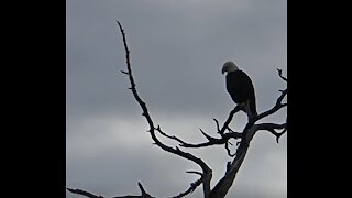 Island Camping and Fishing in Canaveral National Seashore at Orange Site #1