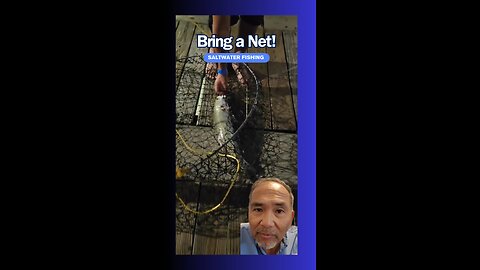 Don't Forget To Bring a Net! #saltwater #fishing #tips