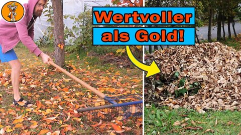 3 Gründe für Laub im Garten