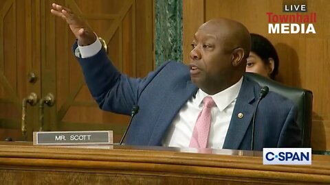 Senator Tim Scott Puts On A Masterclass In Econ 101 For Biden Witnesses