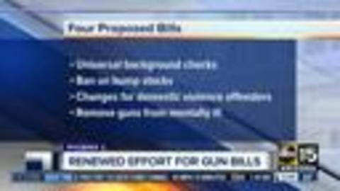 Activists, Democratic lawmakers push for action on gun bills