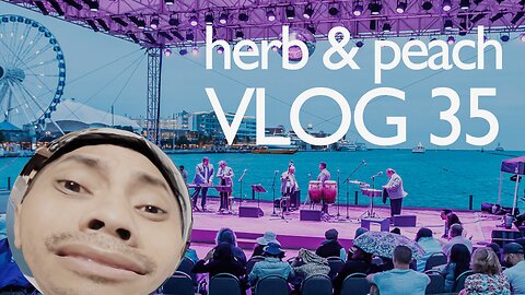 Vlog 35 - Navy When? Officer or Enlisted? / "A New Stage in History"