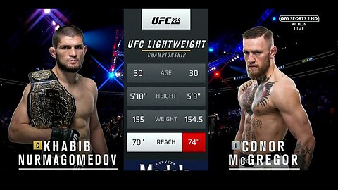 UFC MMA Khabib Nurmagomedov vs Conor McGregor! (No Commentary)