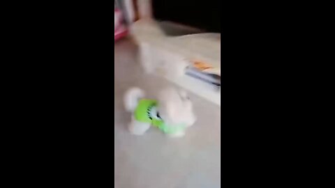 Funny Pet Compilation _ Funny Pet Videos _ Funny Baby Cat Videos _ Adorable _Full-HD