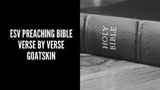 Crossway ESV Preaching Bible Verse by Verse Edition Goatskin Leather (REVIEW)