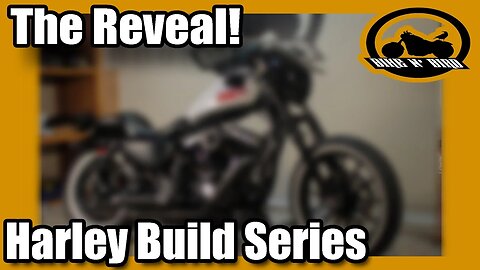 Harley Iron 883 Sportster "Build" Series - THE REVEAL!