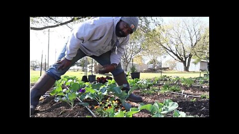 Frost Protection For Your Fall Vegetable Garden