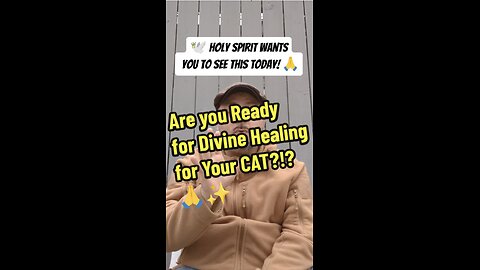 Are you Ready for Divine Healing for Your CAT?!?