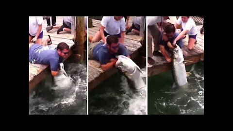 Fish Grabs Man's Arm! (THE Original Video) - Tarpon Smackdown