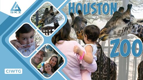 FEEDING A GIRAFFE AT THE HOUSTON ZOO | HOUSTON ZOO ANIMAL ENCOUNTERS | WILDLIFE CAROUSEL | CIWTG