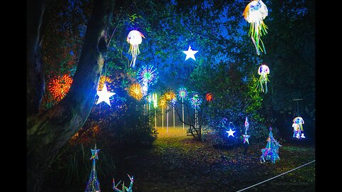 Northampton Winter Light Trail Delapre Abbey