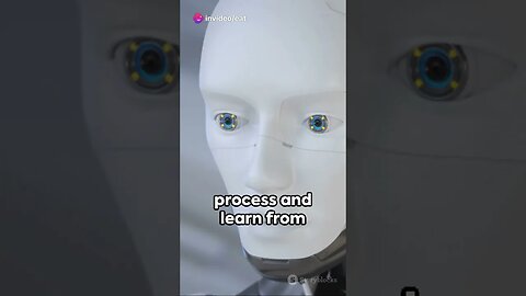 When AI Wakes Up: A Sentient Future