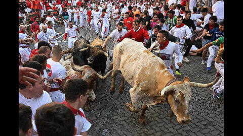 Sanfermines| Los toros de La Palmosilla estrenan los encierros de 2024