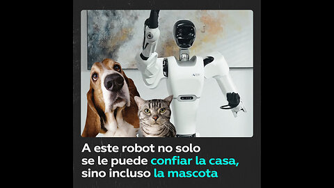 Robot chino cocina, hace la limpieza y da de comer a un gato