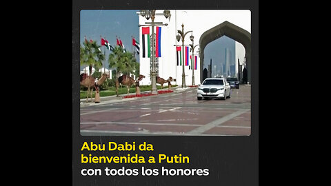 Con decenas de camellos y la bandera rusa en el cielo: Así reciben a Putin en Abu Dabi