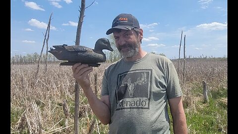 Blood, Sweat & Cattails