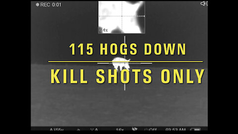 115 HOGS DOWN Kill Compilation