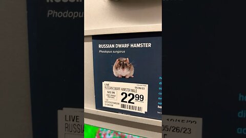 PETSMART CANCELLED! 🐹😳🤣