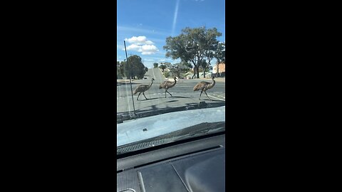 Broken hill locals