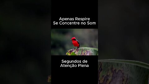 Alívio para o Estresse e Ansiedade Relaxar e Meditar com Sons da Natureza #shorts