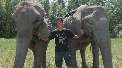 20-Year-Old Acrobat Performs Tricks With His Elephant Family | BEAST BUDDIES