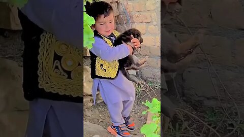 Too Cute! Baby Helping Little Puppies In Need.