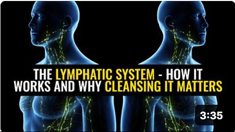 The lymphatic system - How it works and why cleansing it matters