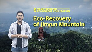 Resurgence of Life: The Remarkable Eco-Recovery of Jinyun Mountain