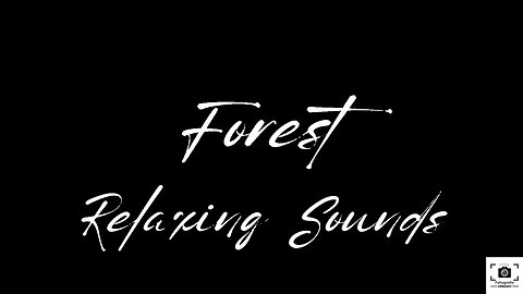 Forest Relaxing Sounds for Sleeping Black Screen 12 Hours: Relaxing Forest Sounds ASMR