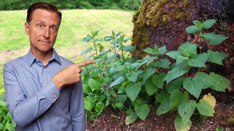 #1 Best Backyard Weed for Arthritis (RHEUMATOID, OSTEO & GOUT)