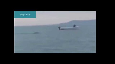 Incredible UFO sightings Alien Ship Captured On Cam Unknown creature Alien caught on cam