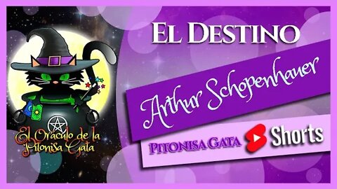 🌸EL DESTINO🌸Arthur Schopenhauer😺Pitonisa Gata SHORTS🧙‍♂️