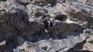 Salto estremo di BASE jumping con 8 rotazioni