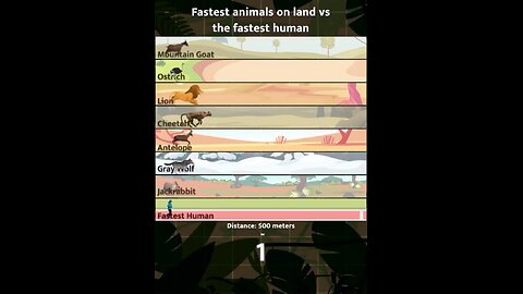 Fastest Animal vs Fastest Human