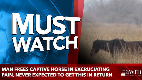 Man Frees Captive Horse In Excruciating Pain, Never Expected To Get This In Return