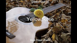 DreamPondTX/Mark Price - Yellow Rose (Pa4X at the Pond, PU)