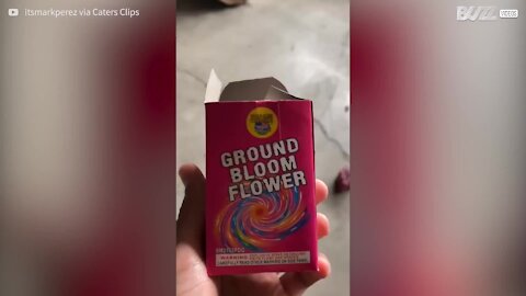 Jovem perde a cabeça com fogos de artifício mistério!