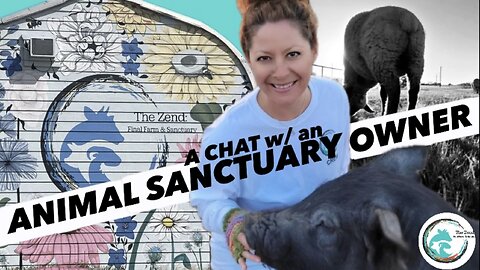 ANIMALS RESCUED & LIFE @ THE ZEND | Q&A W/ ALLI | ANNOYING VEGANS