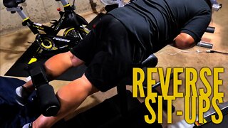 Cheap Roman Chair For Reverse Sit-Ups Review