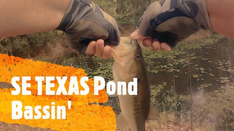 Texas Pond Bassin'