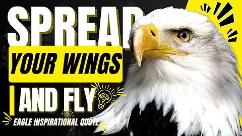 Eagles Motivational Video│Spread Your Wings & Fly: A Motivational Quote About Eagles🔥│#quote