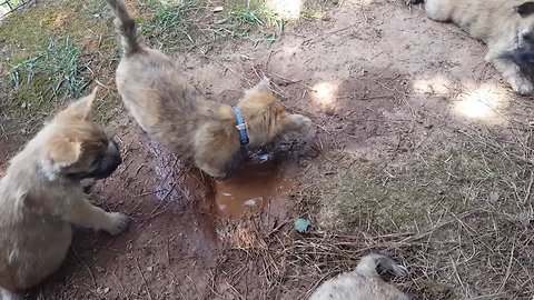 Messy Mud Fun