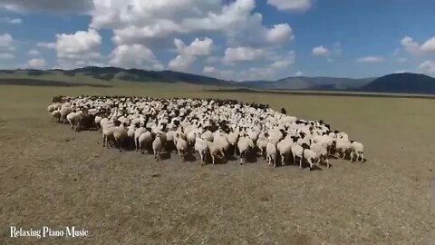 FLYING OVER MONGOLIA 4K UHD Relaxing Music Along With Beautiful Nature Videos 4K Video HD