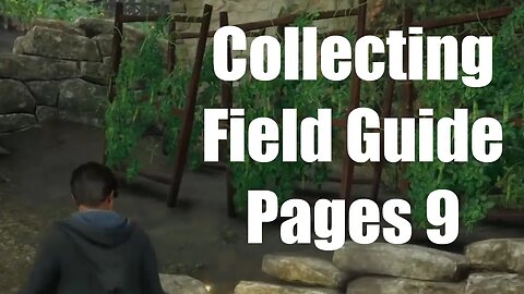 Hogwarts Legacy Collecting Field Guide Pages 9 (Hogsmeade Community Garden)