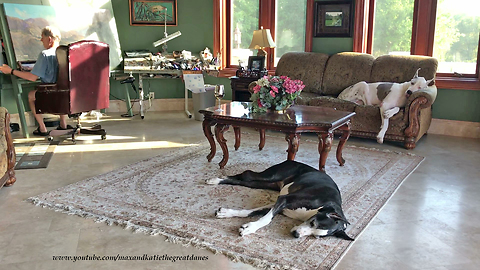 Happy Great Danes Relax in Art Studio with Wind River Canyon Painting Alfred Bierstadt Style