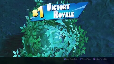 i went afk in a bush and came back to a Victory Royale..