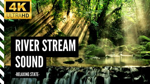 4K Forest Stream Relaxing River Sounds White Noise